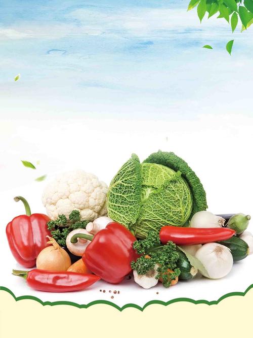 清新有机农产品新鲜蔬菜海报背景素材